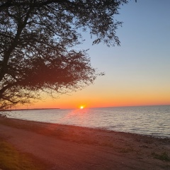 Алексей Золотых, 22.05, Курск