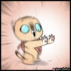 Атай Юлдашев, 03.02, Тюмень