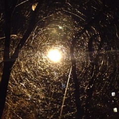 Жанибек Калиев, 11.09.1984, Алматы