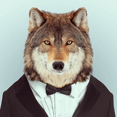 Назар Ілащук, 29.10, Черновцы