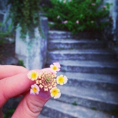 Айгера Ерсаинова, 12.02, Paris