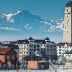 Магомед Цуров, 08.04.1987, Ростов-на-Дону