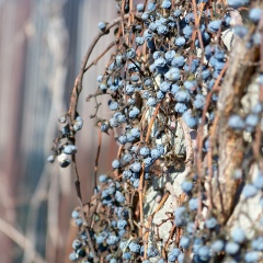 Людмила Виятик, 23.11.1987, Киев