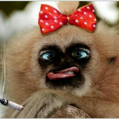 Наталия Шелудякова, Ершов