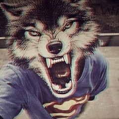 Вячеслав Страдымов, Черкесск