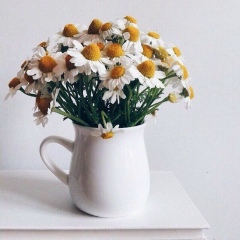 Фарида Солтангазы, 31.10.1993