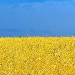 Akum Matata, 11.05, Киев