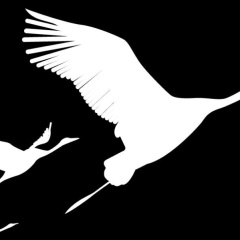 Раиса Мокряк, 14.06, Санкт-Петербург