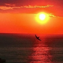 Елена Венза, 13.06, Нижневартовск