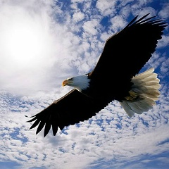 Александр Ропот, 29.07.1989, Солигорск