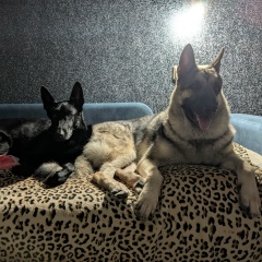 Татьяна Журавлева, Краснодар