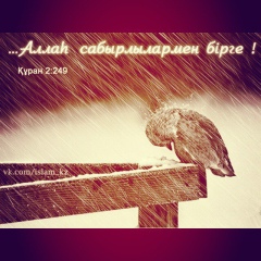 Калдыбек Исатаев, 09.11, Актау