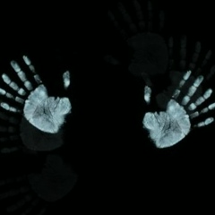 Роман Стойко, 11.01, Львов