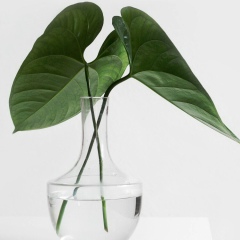 Гульгуль Кайранбаева, 23.03, Алматы