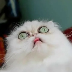 Александр Никанов, 17.02, Москва