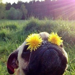 Джамиля Шукуралиева, 10.05.1995, Бишкек