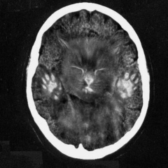 Алина Мигалина, 21.06.1988, Москва