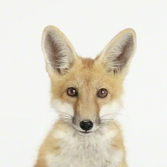 Елизавета Едемская, 16.03, Москва