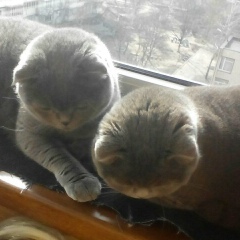 Оля Клобукова, 04.02.1987, Киев