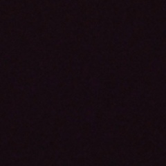 Юлій Цибульський