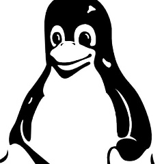 Елизавета Кобелева, 08.08, Брянск