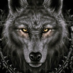 Виктор Казак, 20.12.1994, Кировский