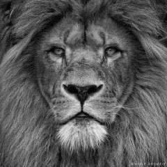 Александр Иконников, 13.04.1984, Москва