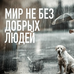 Дарья Чак, Донецк