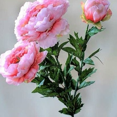 Мадина Гериханова, 28.08.1991, Trondheim