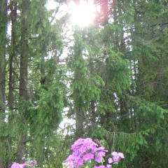 Татьяна Семенова, 09.05, Мирный