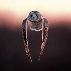 Игорь Тимченко, 23.11.1982, Санкт-Петербург