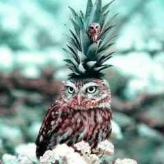 Роман Бутрин, 26.12.1992, Москва