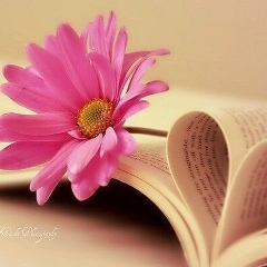 Асылзат Калдыбек, 06.06, Шымкент