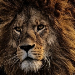 Rustem Khassenov, 27.12, Астана