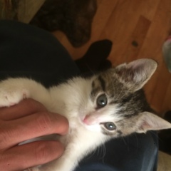 Дмитрий Сучков, 16.04, Санкт-Петербург