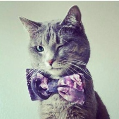 Данил Лис, 17.09.2000, Чебаркуль