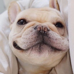 Вова Бурда, 11.09, Киев