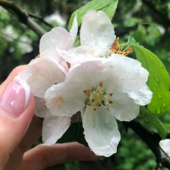 Жадыра Дуйсебай, 09.01, Шымкент