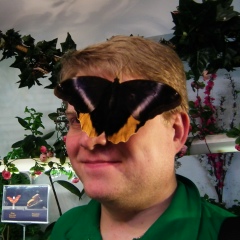 Владимир Грибов, 26.08.1978, Санкт-Петербург