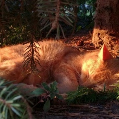 Сергей Александрович, 06.08, Белгород