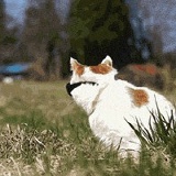 Bella Kazieva, 22.09, London