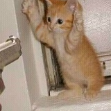 Тимур Башаров, 24.06, Кокшетау