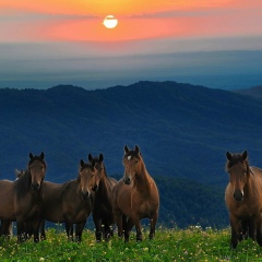 Ирина Новосельская, 18.09.1980, Московский