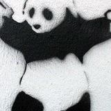 Никита Французов, 19.05, Волгоград