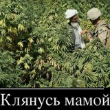 Умар Темиев, 09.07.1986, Москва