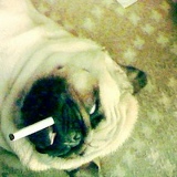 Леша Шматько, 05.09, Львов