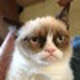 Николай Паршин, 20.03, Москва