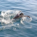 Nurlan Bayaman, Бишкек