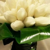 Женя Цибуленкова, 30.06.1991, Орёл