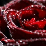 Сымбат Нуртаева, 10.04, Астана